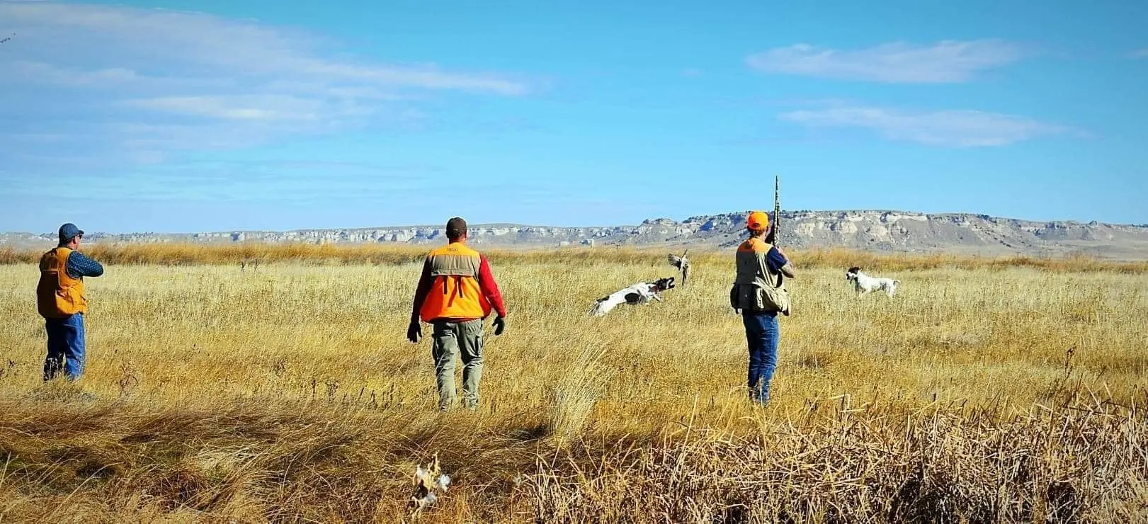 Three hunters and their dogs walk through a grassy field with hills in the background.