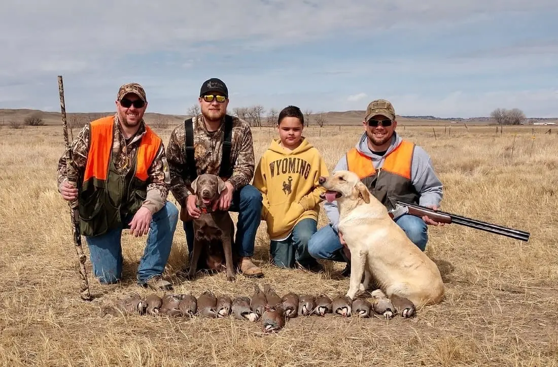 Four hunters and two dogs pose with a harvest of chukar partridge in a field.