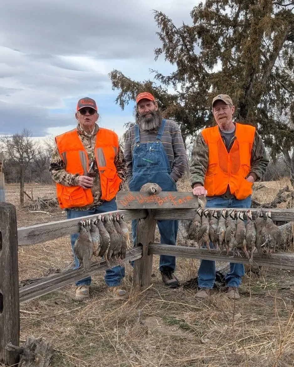 Three hunters in orange vests pose with harvested chukar partridges hanging on a wooden fence.