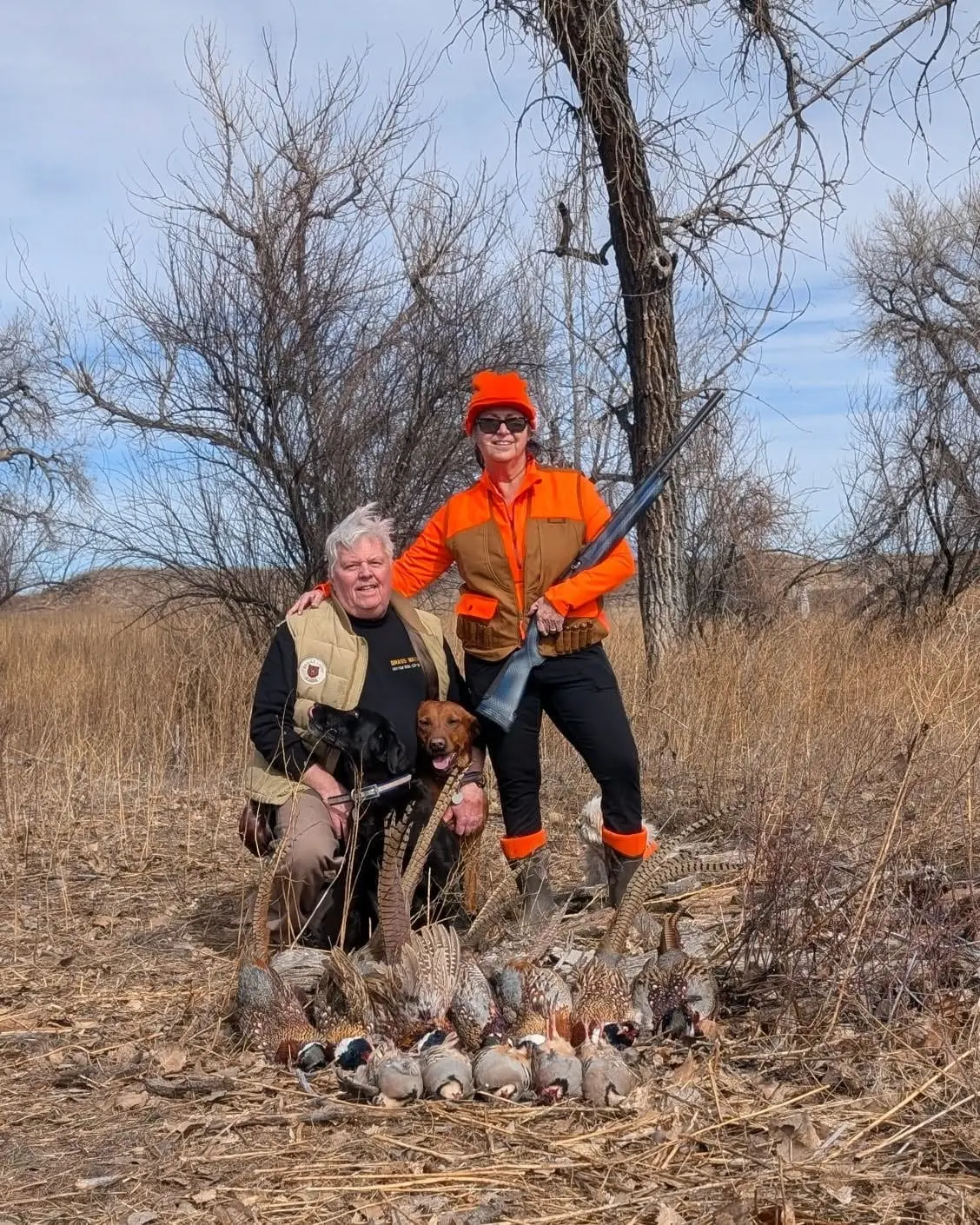 Two hunters and two dogs pose with a harvest of pheasants and chukar in a field.