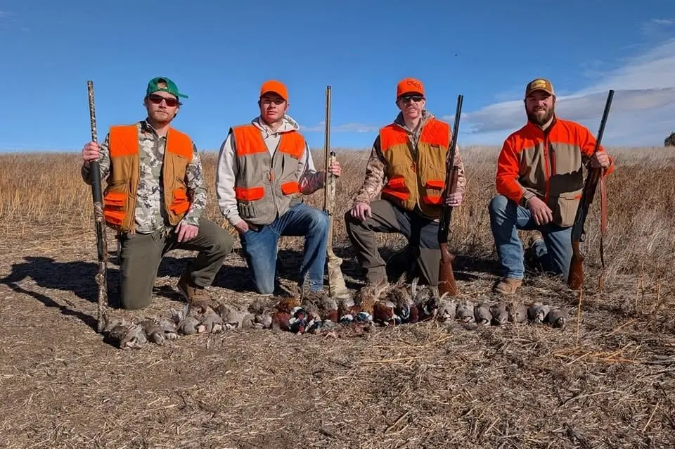Four hunters pose with their harvested ring-necked pheasants and chukar partridge in a field.