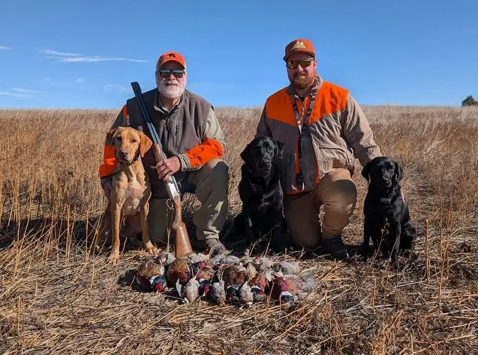 Two hunters pose with their three dogs and a harvest of ring-necked pheasants and chukar partridges in a field.