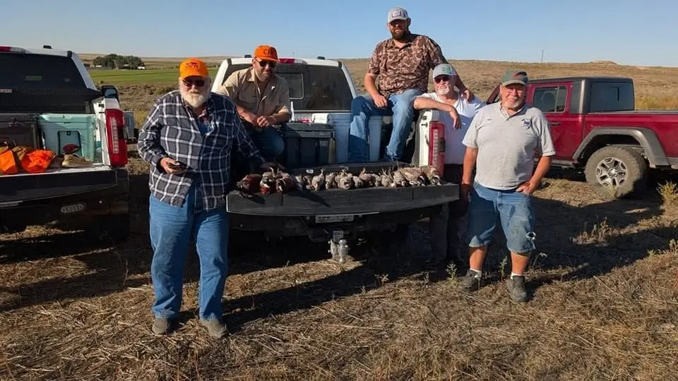 Five hunters pose with their harvest of pheasants and partridges in the back of a pickup truck.