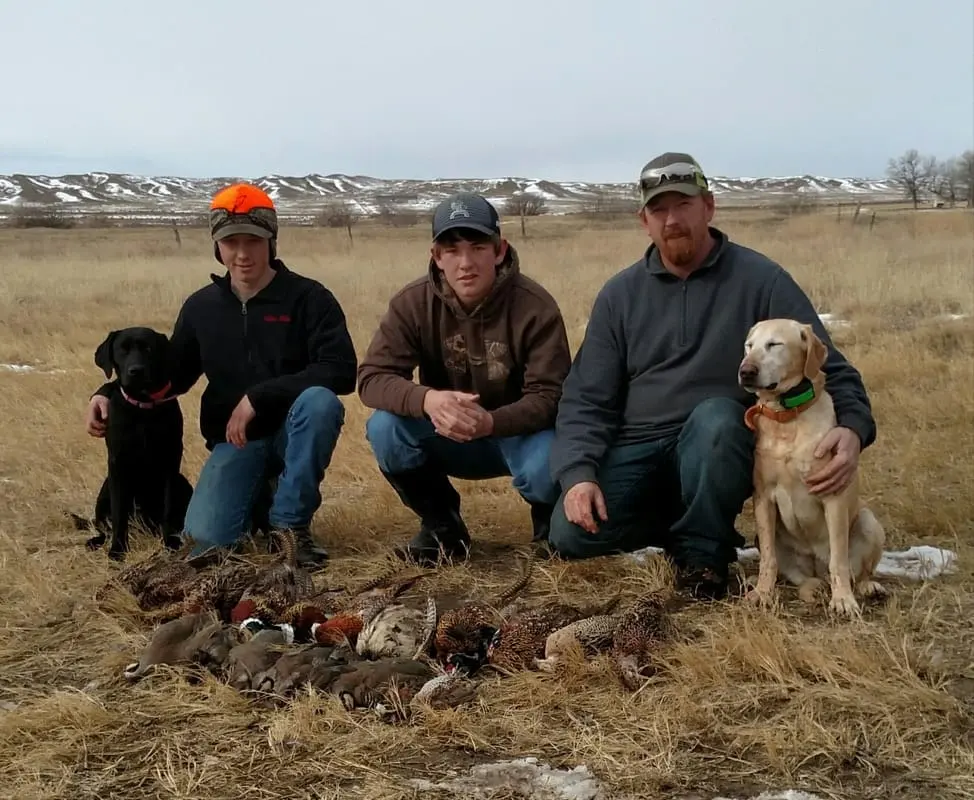 Three men and two dogs pose with a harvest of pheasants and chukar in a field.