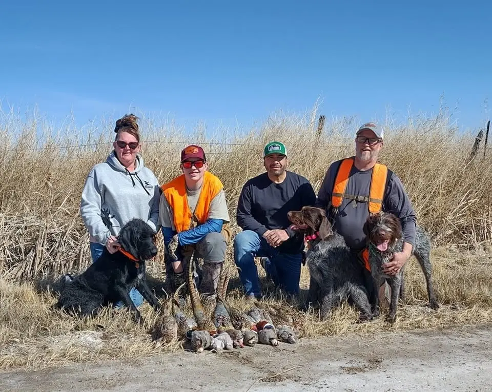 Four hunters and three dogs pose with a harvest of pheasants and chukar in a field.