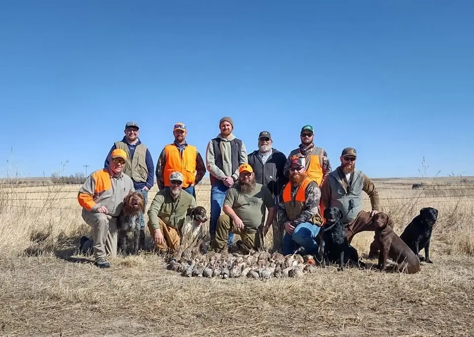 A group of hunters and their dogs pose with their harvest of ring-necked pheasants and chukar partridges in a field.