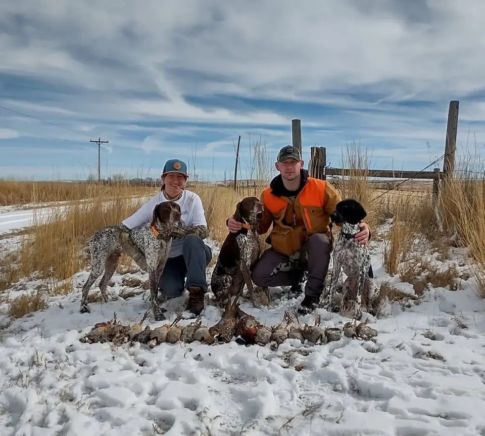 Two hunters pose with their three hunting dogs and a harvest of ring-necked pheasants and chukar partridges in a snowy field.