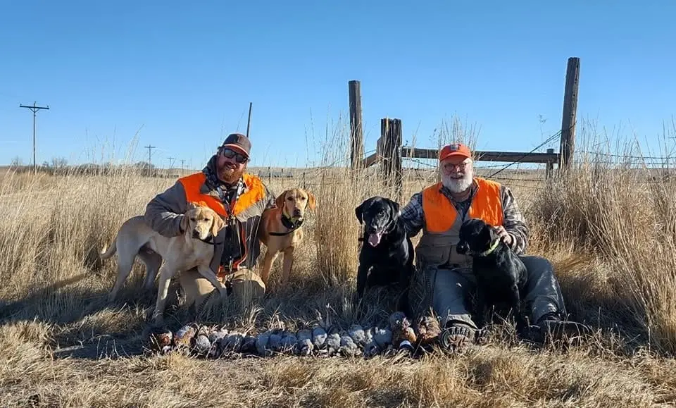 Two hunters pose with their four hunting dogs and a harvest of ring-necked pheasants and chukar partridges in a field.