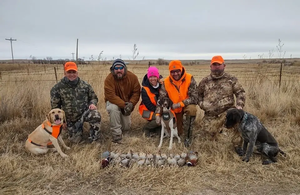 Five hunters and three dogs pose with their harvest of ring-necked pheasants and chukar partridges in a field.