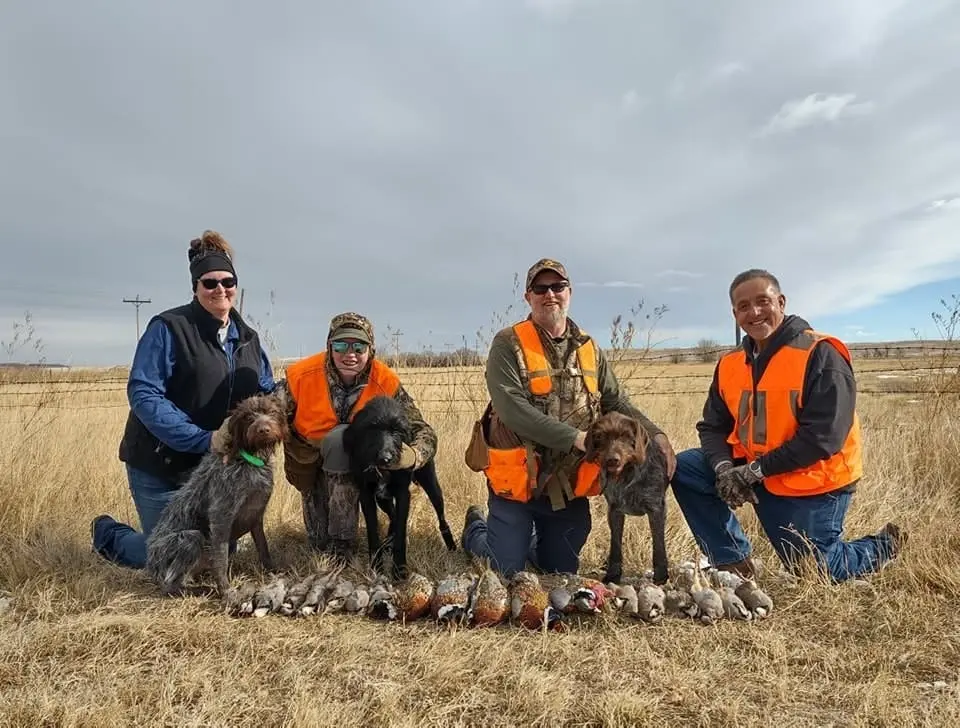 Four hunters and two dogs pose with their harvested pheasants and partridges in a field.