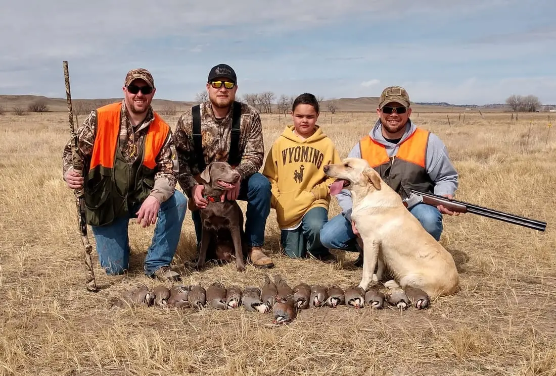 Three men, a boy, and two hunting dogs pose with harvested Chukar Partridges in a field.