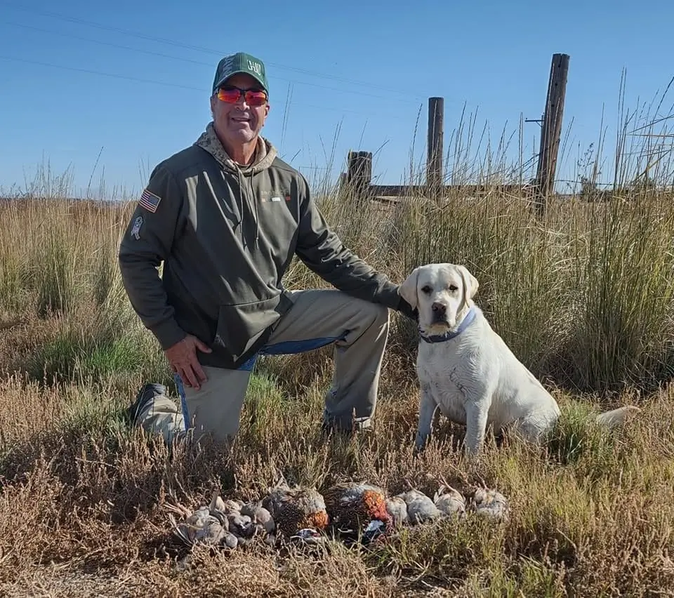 A hunter kneels with a yellow Labrador retriever and a harvest of ring-necked pheasants and chukar partridges in a grassy field.