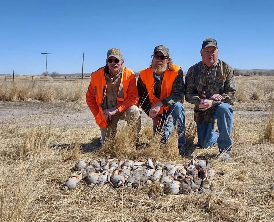 Three hunters kneel in a field with their harvest of chukar.