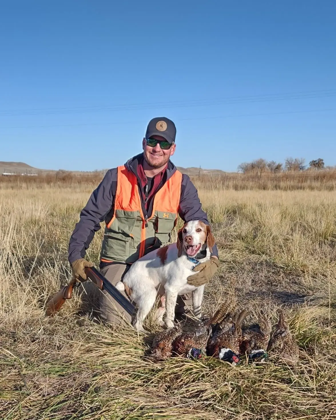 A hunter kneels with a hunting dog and several harvested ring-necked pheasants in a grassy field under a clear blue sky.