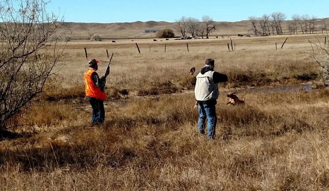 Two hunters and a dog in a field, with the dog retrieving a bird from a small pond.