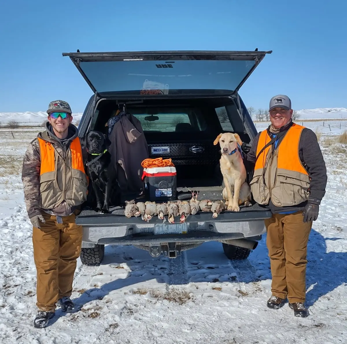 Two hunters and two dogs pose with harvested chukar partridge in the back of a truck on a snowy field.