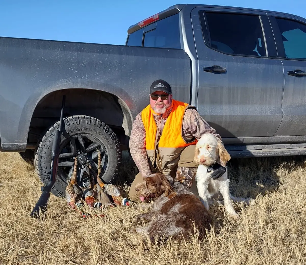 A hunter poses with harvested ring-necked pheasants and two hunting dogs next to a truck.