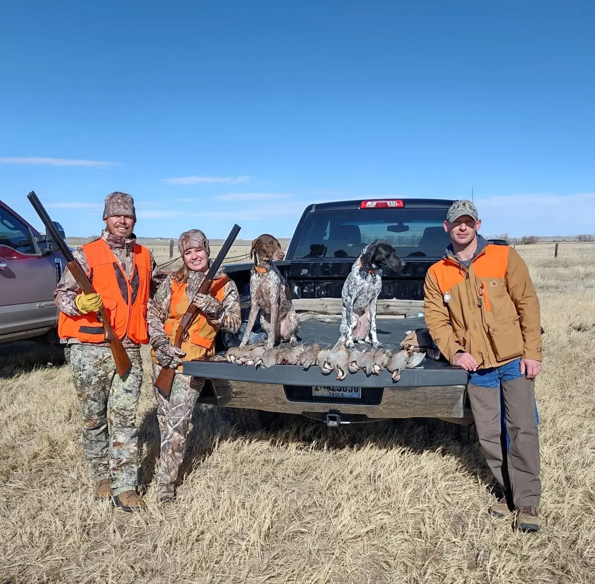Three hunters pose with their two hunting dogs and a harvest of chukar partridges in the back of a pickup truck.