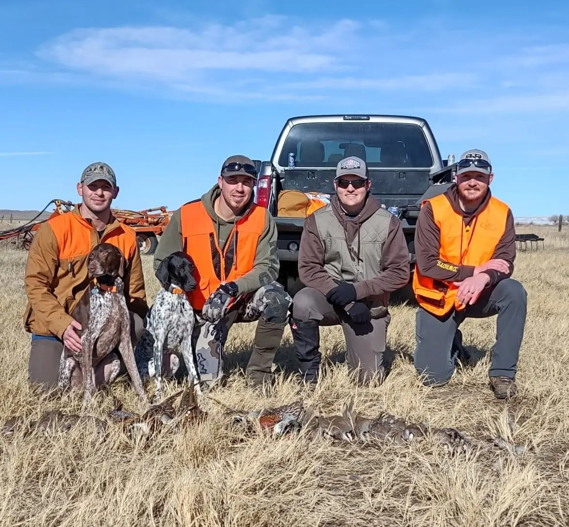 Four hunters and two dogs pose with harvested pheasants in a field.