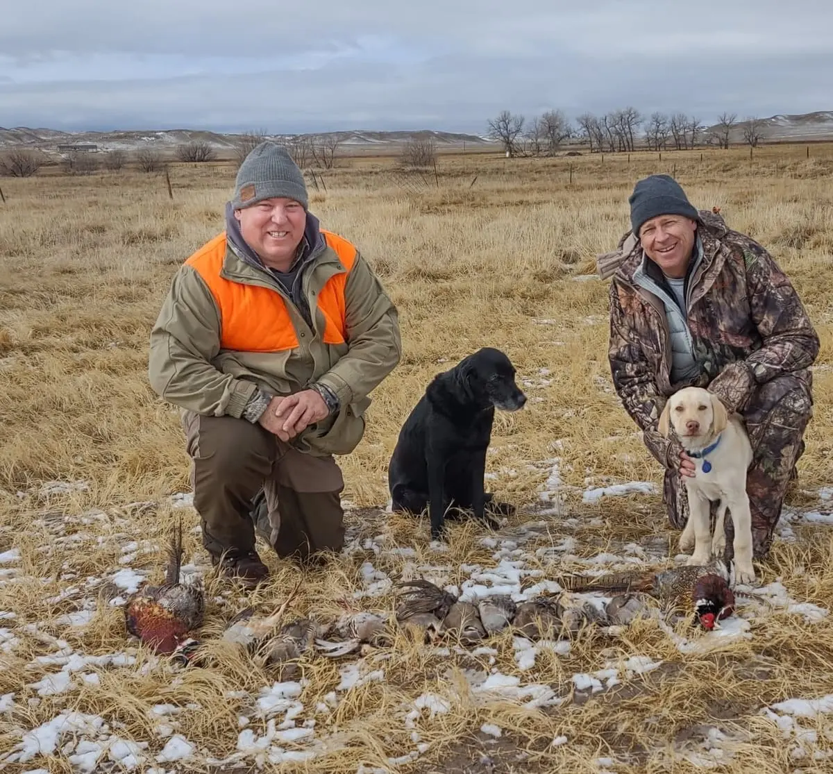 Two hunters pose with their dogs and harvested ring-necked pheasants and chukar partridges in a field.