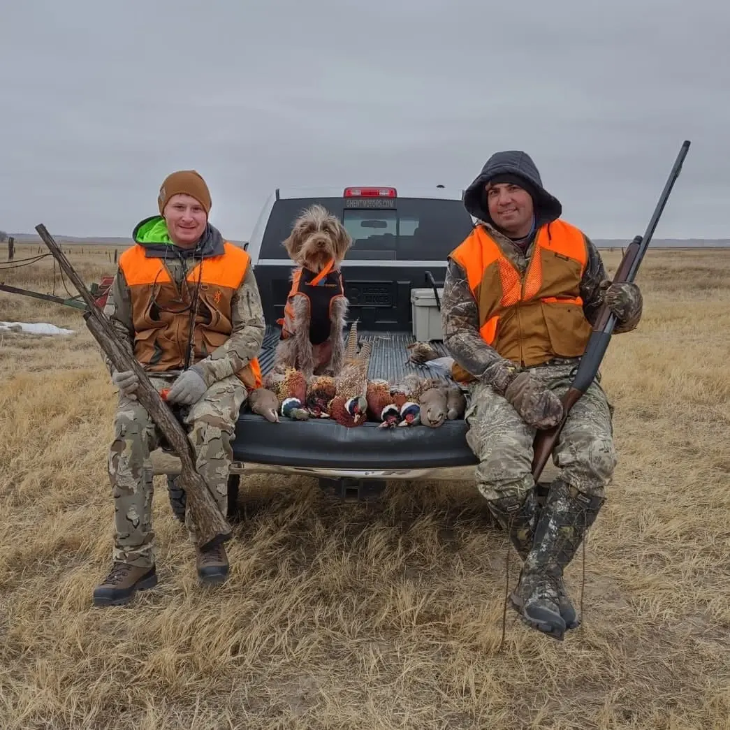 Two hunters and a dog pose with harvested Ring-necked Pheasants and Chukar Partridges in the back of a pickup truck.