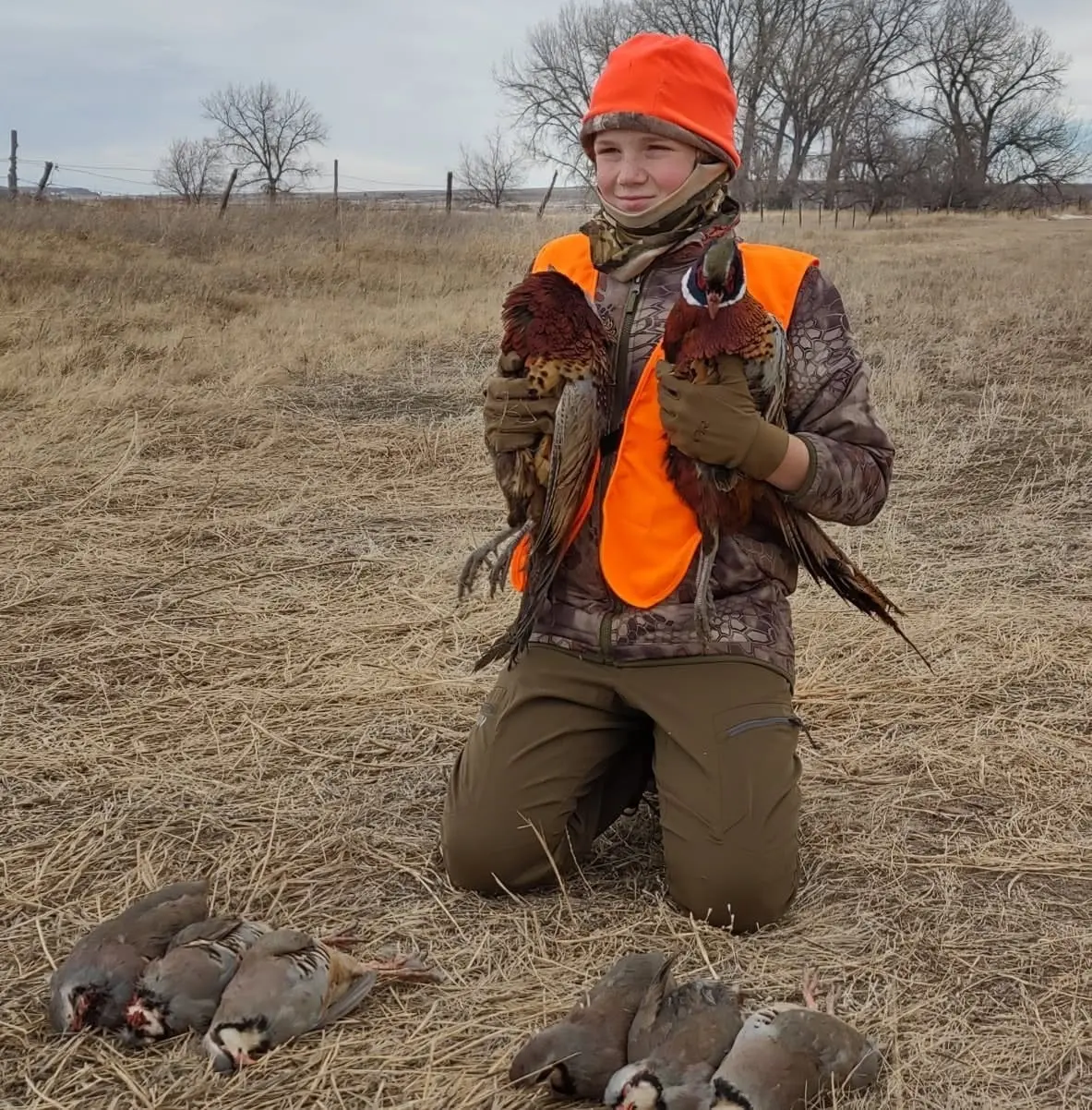 A young hunter kneels in a dry field, holding two harvested pheasants, with several chukar partridges on the ground in front of him.