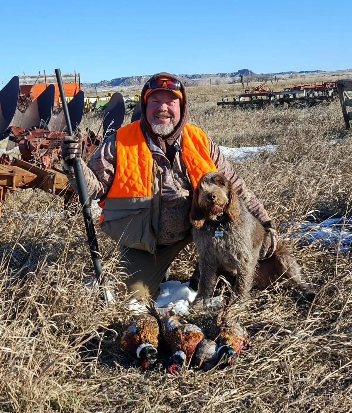 A hunter and his dog pose with several harvested ring-necked pheasants in a field.