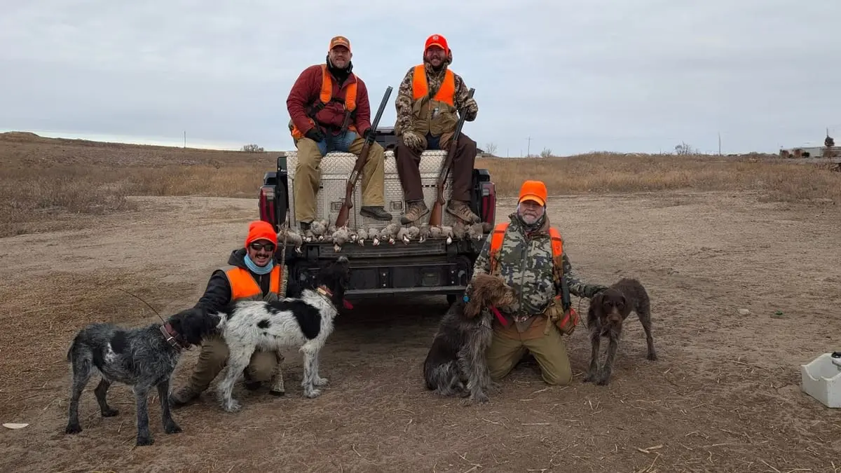 Four hunters and three dogs pose with harvested chukar in the back of a pickup truck in a field.
