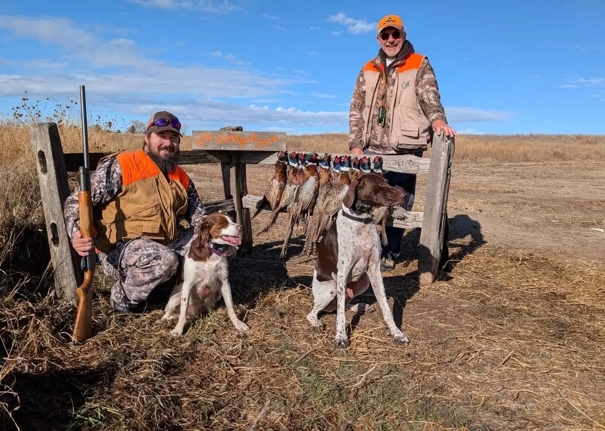 Two hunters pose with their dogs and several harvested pheasants in a field.