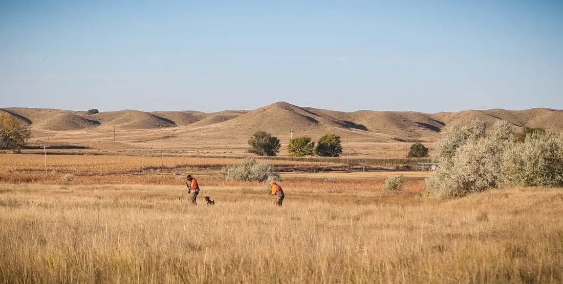 Two hunters and a dog walk through a dry grassy field with rolling hills in the background.
