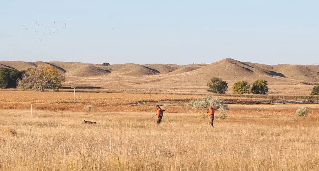 Two hunters and a dog walk through a dry grassy field with birds flying in the distance and rolling hills under a clear sky.