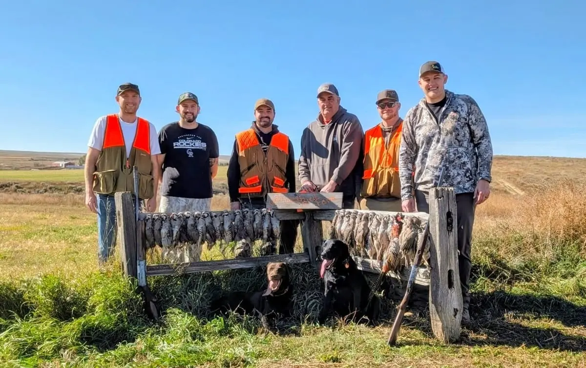 A group of hunters and their dogs pose with harvested ring-necked pheasants and chukar partridges on a sunny day.