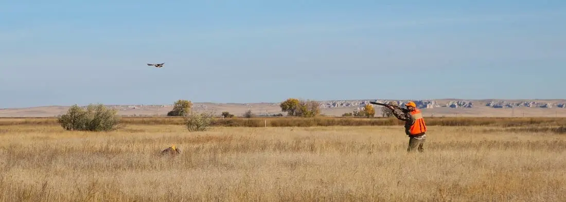 A hunter in an orange vest aims a shotgun at a bird flying over a grassy field.