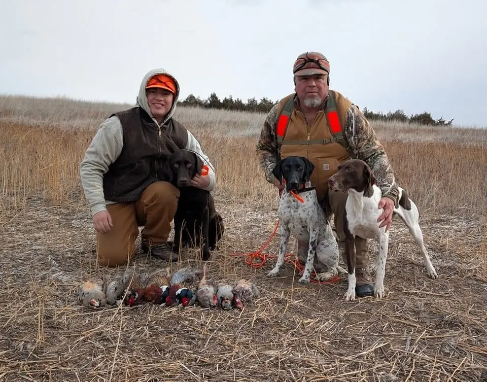 Two hunters pose with three hunting dogs and a harvest of ring-necked pheasants and chukar partridges in a field.
