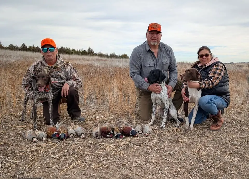 Three hunters and three dogs pose with their harvest of pheasants and partridges in a field.